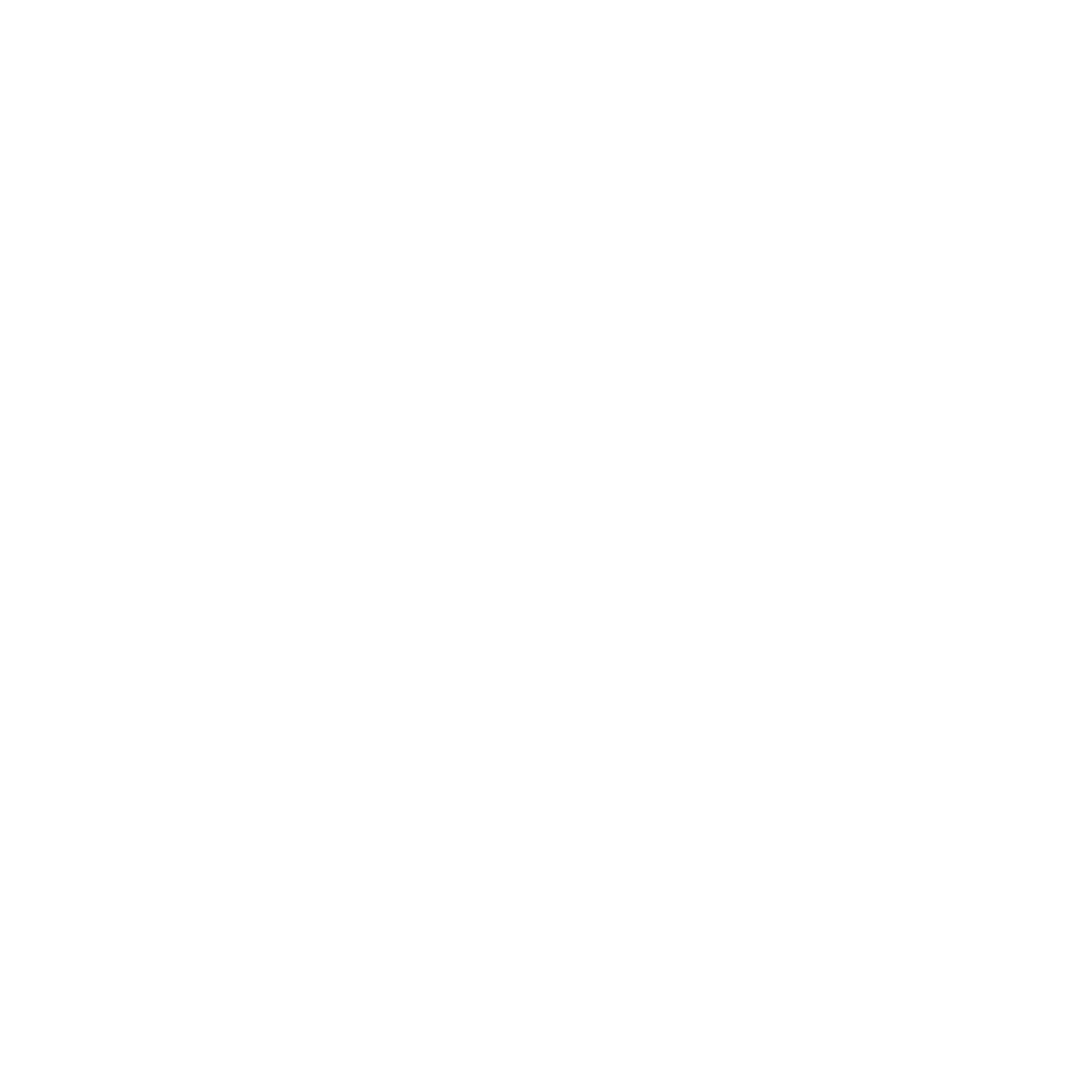 White Future Logo